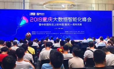 大数据赋能，软件定义未来 重庆软件开发企业在智能化浪潮下的机遇与路径